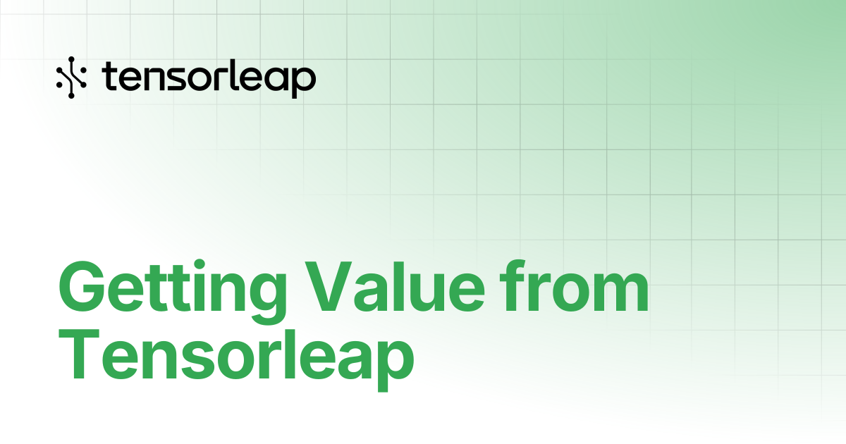 Getting Value from Tensorleap | Tensorleap Docs