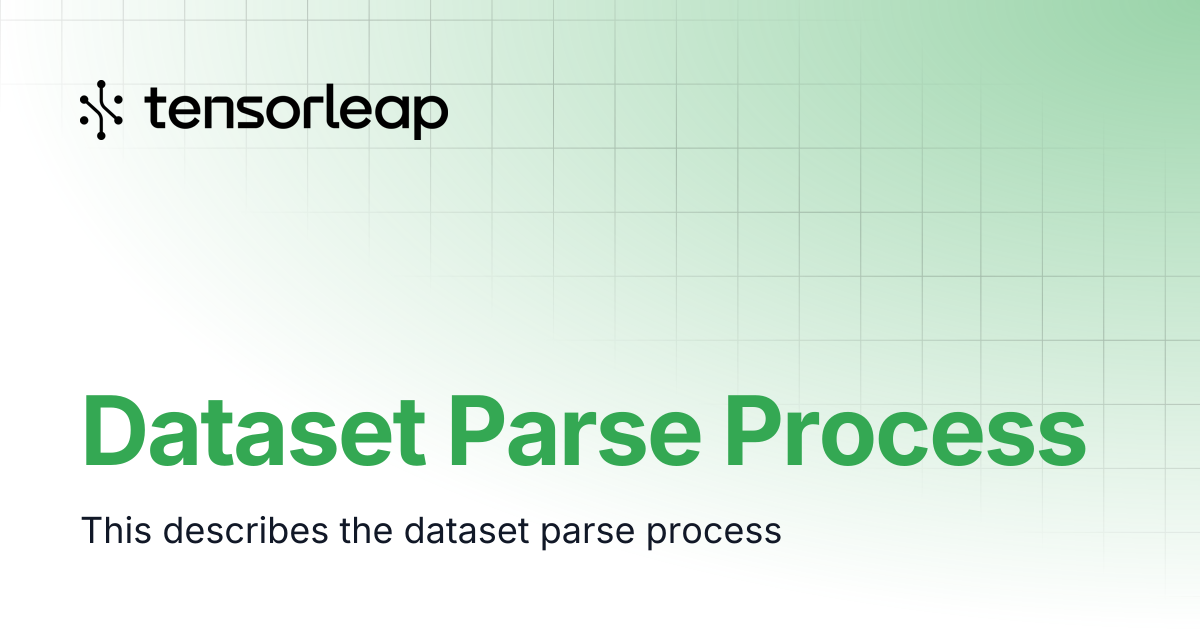 Dataset Parse Process | Tensorleap Docs