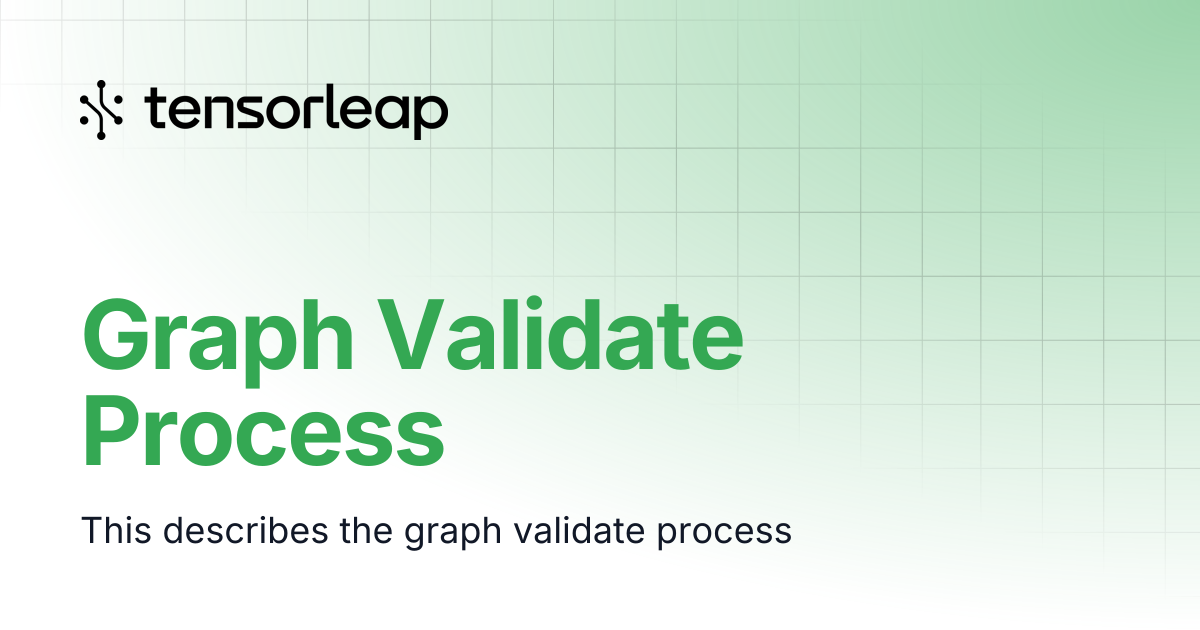 Graph Validate Process | Tensorleap Docs