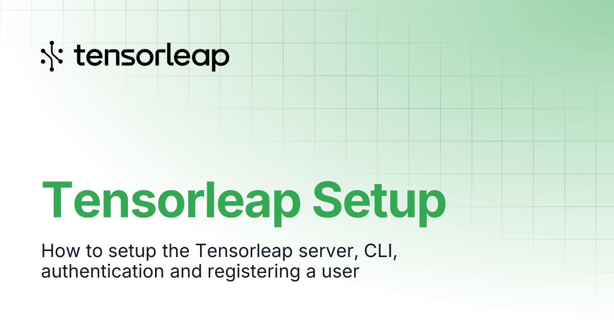 Tensorleap Setup | Tensorleap Docs