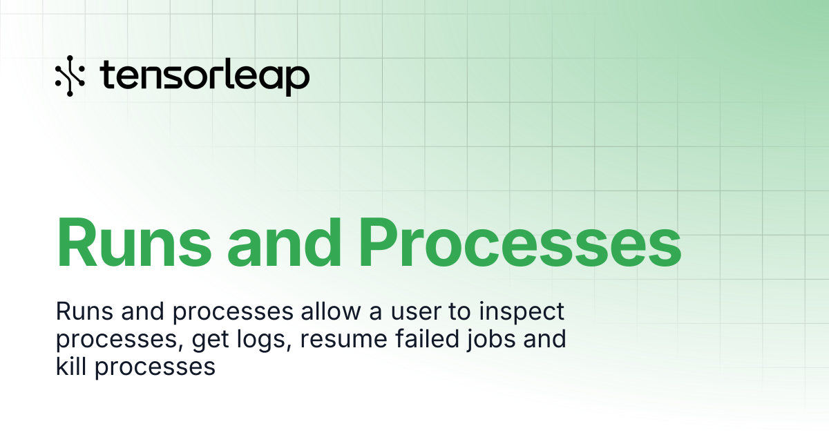 Runs and Processes | Tensorleap Docs
