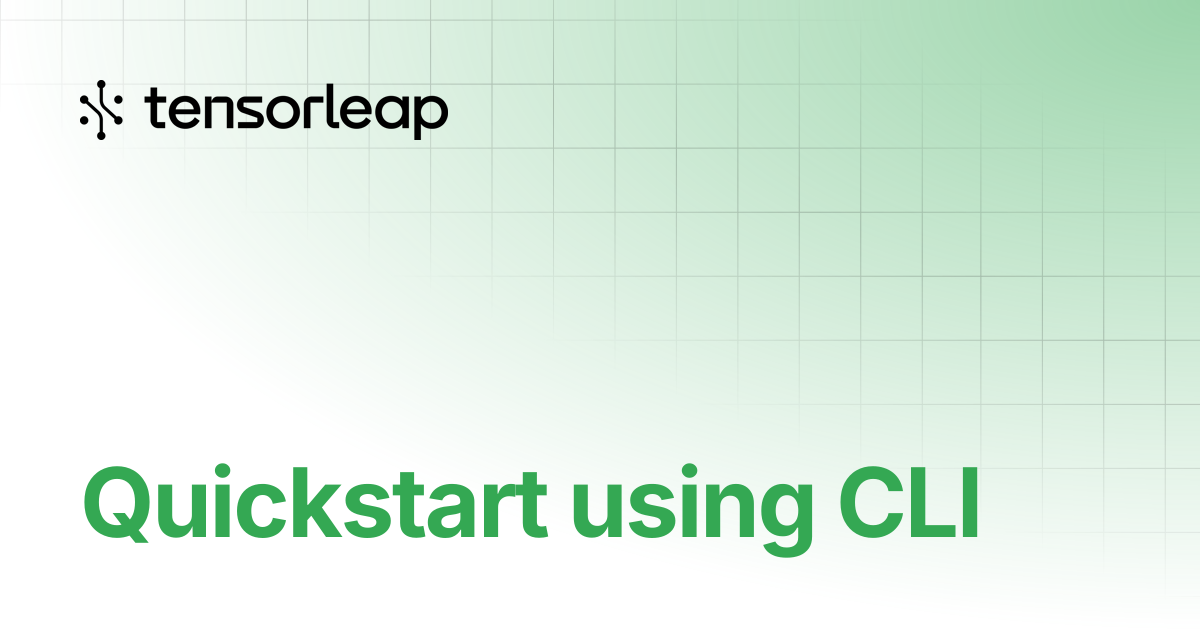 Quickstart using CLI | Tensorleap Docs
