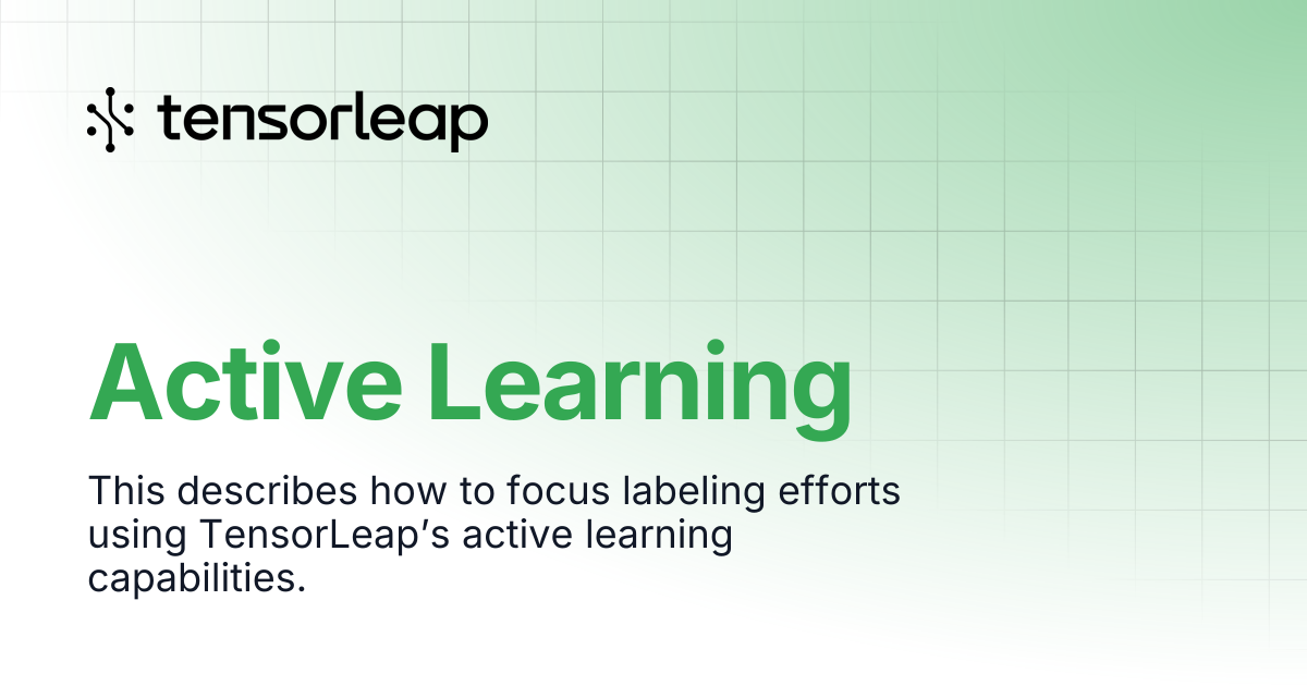 Active Learning | Tensorleap Docs